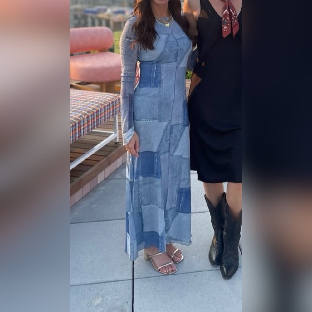 Zara Denim Printed Mesh Dress